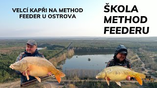 Škola Method Feederu  - VELCÍ KAPŘI NA METHOD FEEDER U OSTROVA  #tackleguru #Mainlinematch