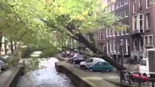 Vallende boom leliegracht