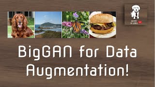 BigGANs in Data Augmentation