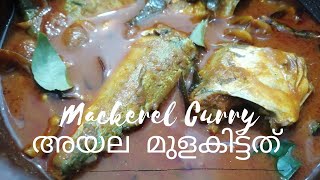 Mackerel Fish Curry | അയല  മുളകിട്ടത്  | Ayala Mulakittath |  Easy Fish Curry