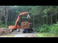 loading logging trucks at murupara new zealand