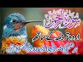 Surah Rahman full with Urdu translation & Explanation - Amazing Quran Visualization | So beautiful