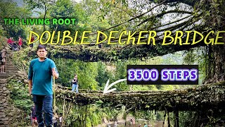 Living Root Bridge Cherrapunji | Double Decker Bridge In Meghalaya | Meghalaya Trek