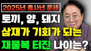 [2025년 삼재] 토끼띠 양띠 돼지띠 재물복 터진 나이는? 이번 삼재가 기회가 되는 분들 혹독하게 찾아옵니! 2025년 사주팔자 #사주 #명리학