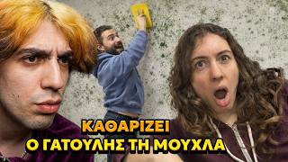 ΓΑΤΟΥΛΗΣ ΠΡΟΣΠΑΘΕΙ ΝΑ ΚΑΘΑΡΙΣΕΙ ΤΗΝ ΜΟΥΧΛΑ!