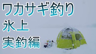 ワカサギ釣り・コツ教えちゃいます！【氷上釣り編】