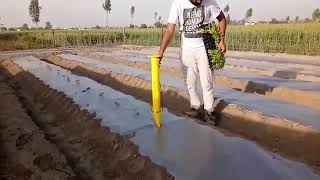 मल्चिंग में पौधे लगाने कि मशीन||malching  after plant planter machine||#krishipatrkaar #krishi