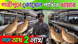 গাজীপুর জেলার সবচেয়ে বড় কোয়েল পাখির খামার || প্রতিদিন ৮ হাজার ডিম উৎপাদিত হয় || Sonali Diganta ||