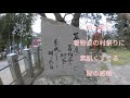 福島の一本桜②いわき市小川諏訪神社の桜🌸