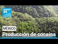 México: narcotraficantes diversifican la producción de drogas e incursionan en la cocaína