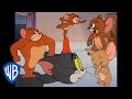 Tom et Jerry en Français 🇫🇷 | Jerry en pleine action 🐭 | WBKids