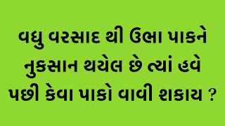 આજની કૃષિ માહિતી-વધુ વરસાદ થી ઉભા પાકને નુકસાન થયેલ છે ત્યાં હવે પછી કેવા પાકો વાવી શકાય? #varsad