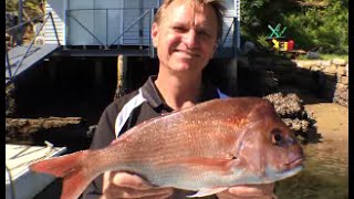 How to Clean a Snapper | The Hook and The Cook
