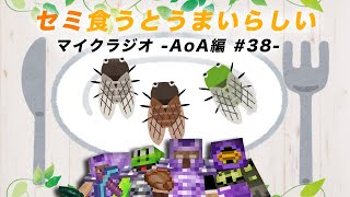 【マイクラジオ】最強の匠は俺だ！絶望的センス4人衆がカオスマイクラジオAOA編♯38【MSSP/M.S.S Project】