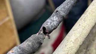 Stainless superheaters, part 1…