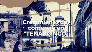 El comercio en Tenancingo de Degollado EDOMEX T1|C6