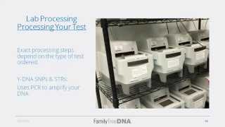 The Ideal Life of a Family Tree DNA Kit