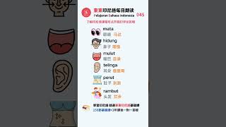 这么实用的印尼语单词，你确定不学几个吗｜东东印尼语｜学习印尼语｜印尼文｜Bahasa Indonesia #印尼语 #学习印尼语 #bahasaindonesia