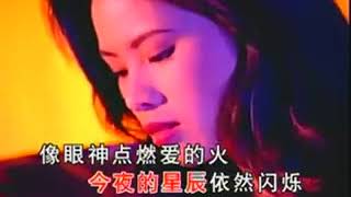 高胜美 昨夜星辰 KTV版标清