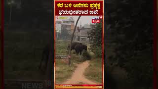 #shorts: Ramanagara | Elephants | ರಾಮನಗರದ ರಂಗರಾಯನದೊಡ್ಡಿ ಕೆರೆ ಬಳಿ ಕಾಡಾನೆಗಳು ಪ್ರತ್ಯಕ್ಷ | N18S