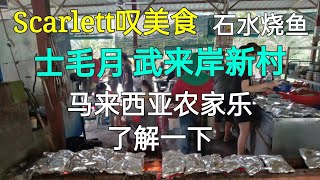 Scarlett叹美食 11--马来西亚农家乐了解一下 雪兰莪  士毛月 武来岸新村  Broga Semenyih   石水烧鱼   乡村野趣多