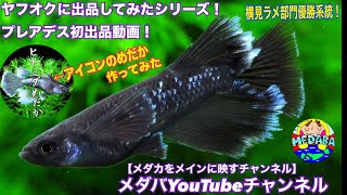 ヤフオクに出品してみたシリーズ！プレアデス初出品動画！