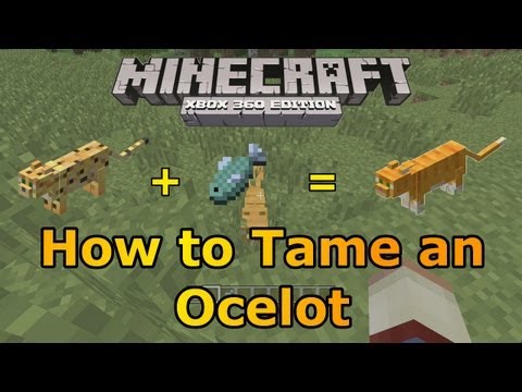 Minecraft Xbox 360: How to Tame an Ocelot! | TU12 is Out! Minecraft Xbox 360: How to Tame an Ocelot! | TU12 is Out!