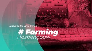 Farming Haspengouw 17