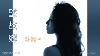 望故鄉 Wang gu xiang 洋瀾一 Yang Lan Yi #動態歌詞 Pinyin/Lyrics Music