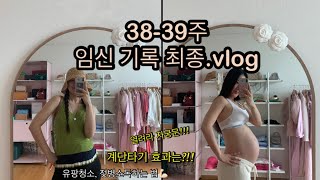 임신 38-39주❤️최종임신기록 | 젖병소독하기 | 배내려오는 방법 | 계단타기 효과 | 마지막까지 열심히 돌아다는 임산부