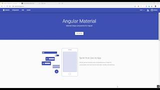 Angular material environment setup