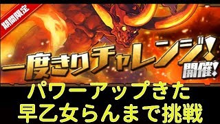 【実況パズドラ】１度きりチャレンジ　早乙女らんま