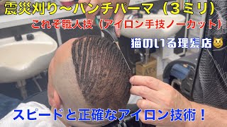 【理容師】震災刈り３ミリパンチパーマ理容師の職人技！スピードと正確なアイロン技術　５分で巻き終わります。👍（猫のいる理髪店）