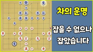 [프로의 한수] 차의 운명!! 정상적인 방법으론 잡을 수 없습니다.