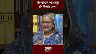 বিশ্বব্যাংকে পদ্মাসেতুর ছবি নেয়ার কারণ জানালেন প্রধানমন্ত্রী | Sheikh Hasina  | Ekattor TV