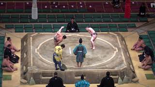 星飛-千代の天/2018.1.28(3)/seito-chiyonosora/day15 #sumo