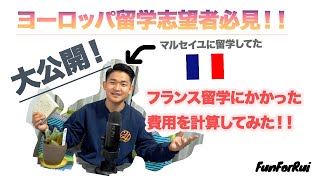 【公開】フランス留学は合計いくらかかったのか？！！