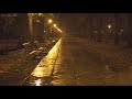 Quiet Night in the Park with Relaxing Sounds of Rain Falling Down the Empty Alleys, Puddles & Leaves