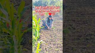 शेतकरी आहे म्हणून सगळे जग चालतं#शेतकरी #farming #🌱♥️🙏👍💯