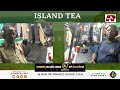 Island Tea - 9 Aug 2024