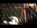 wfca cage fight vol. 5 janis porins vs jevgenijs petkuns round 1