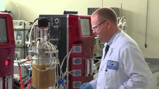 Roquette America Global Fermentation Applications Lab