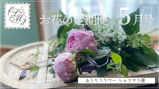 シャクヤクを綺麗に咲かせる方法 | お花の定期便5月号 おうちフラワー#51