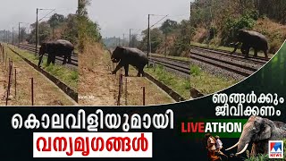 വയനാട്ടില്‍ മരണത്തിന്‍റെ ചിന്നംവിളി; ജീവിക്കാന്‍ വഴിയില്ലാതെ ജനം | Wayanad | Elephant