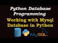 Python Tutorial  - Working with MySQL Database in Python