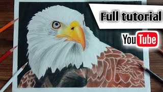 How to draw an eagle with colour //full tutorial