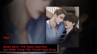 [ĐAM MỸ] - TẬP 11: Ngoại Truyện / Xuyên sách: Trở Thành Nam Phụ Cực Phẩm Trong Tiểu Thuyết Ngọt Sủng