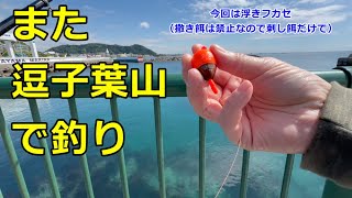 2024.5.9 神奈川県逗子葉山で釣り