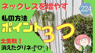 224【多肉植物】🔰ネックレスを増やす私の方法ポイント３つ！大失敗！消えたグリネ=͟͟͞͞(꒪ᗜ꒪ ‧̣̥̇) 復活