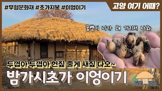 [고양 여기 어때]초가지붕도 지붕을 갈아줘야한다! 밤가시초가 이엉이기~ (FEAT.굼벵이가 여기서 왜 나와?)